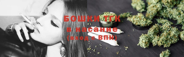 сатива Балахна