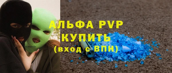 сатива Балахна