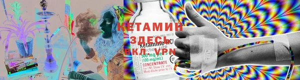 сатива Балахна