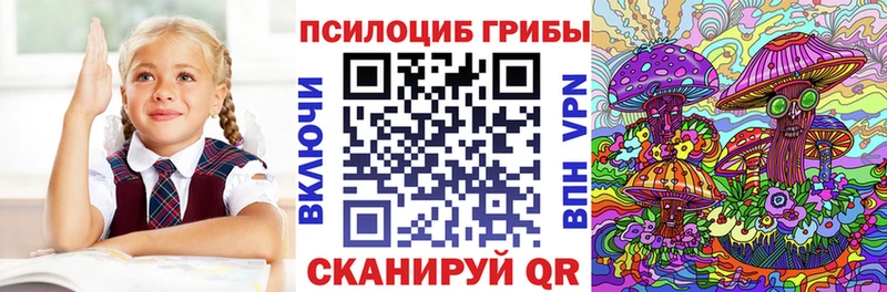 где продают   mega маркетплейс  Псилоцибиновые грибы Cubensis  Суворов 